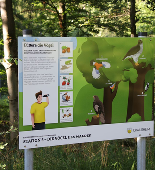 Zu sehen ist eine Infotafel zum See umgeben von Wäldern | © Stadtverwaltung Crailsheim