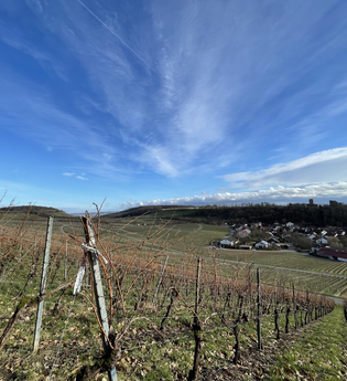Naturerlebnispfad Neipperg | © Stadt Brackenheim | Celina Ponto