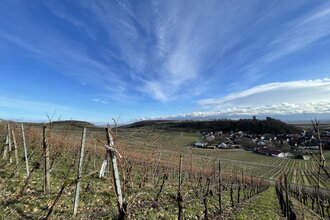Naturerlebnispfad Neipperg | © Stadt Brackenheim | Celina Ponto