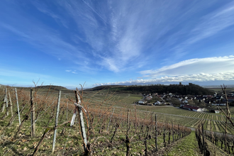 Naturerlebnispfad Neipperg | © Stadt Brackenheim | Celina Ponto