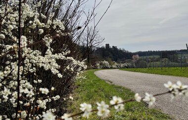 Naturerlebnispfad Neipperg | © Stadt Brackenheim | Celina Ponto