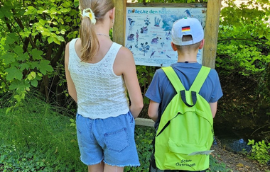 Naturerlebnispfad Tiefenbach