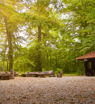 Naturlehrpfad Adelsheim | © Kevin Retlich