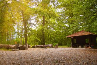 Naturlehrpfad Adelsheim | © Kevin Retlich