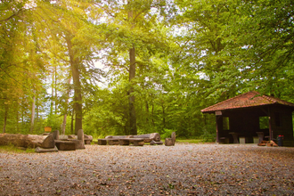 Naturlehrpfad Adelsheim | © Kevin Retlich