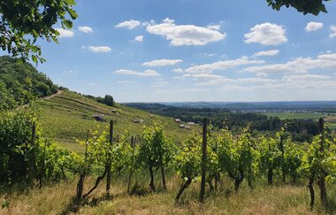 Naturpark Tour 1 - Hochberg Tour - Mit dem Gravelbike im Kraichgau-Stromberg | © Naturpark Stromberg-Heuchelberg