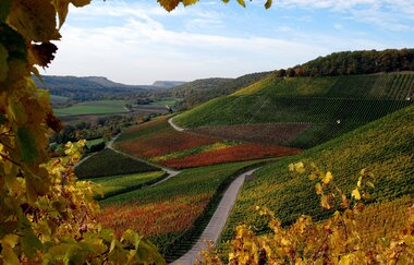 Naturpark Tour 2 - Streitbach Tour - Mit dem Gravelbike im Kraichgau-Stromberg | © Naturpark Stromberg-Heuchelberg