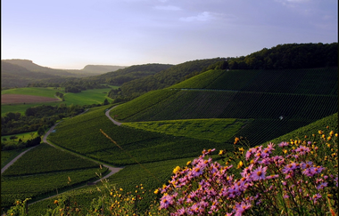 Naturpark Tour 2 - Streitbach Tour - Mit dem Gravelbike im Kraichgau-Stromberg | © Naturpark Stromberg-Heuchelberg