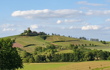 Naturpark Tour 4 - Ehmetsklinge Tour - Mit dem Gravelbike im Kraichgau-Stromberg | © Naturpark Stromberg-Heuchelberg