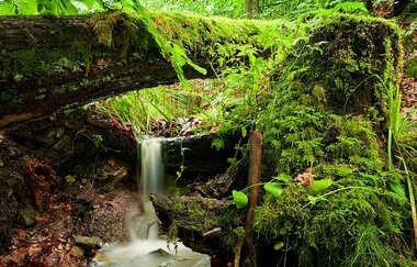 Naturpark Tour 5 | Baiselsberg Tour | © Touristikgemeinschaft HeilbronnerLand e.V.