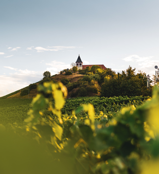 Michaelsberg Cleebronn | Heilbronn | © Touristikgemeinschaft HeilbronnerLand