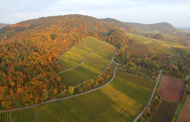 Naturpark Tour 5 | Baiselsberg Tour | © Touristikgemeinschaft HeilbronnerLand e.V.