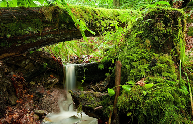 Naturpark Tour 5 | Baiselsberg Tour | © Touristikgemeinschaft HeilbronnerLand e.V.