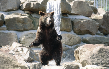 Naturpark Tour 5 | Baiselsberg Tour | © Touristikgemeinschaft HeilbronnerLand e.V.