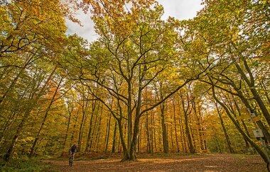 Naturpark Tour 5 | Baiselsberg Tour | © Touristikgemeinschaft HeilbronnerLand e.V.