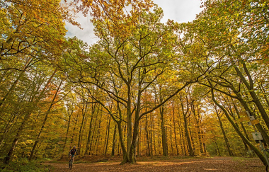 Naturpark Tour 5 | Baiselsberg Tour | © Touristikgemeinschaft HeilbronnerLand e.V.