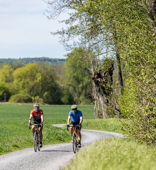 Naturparke-Gravel-Crossing Tag 2 - Von Neckargemünd nach Heilbronn | © Martin Donat_lifecyclemag.de