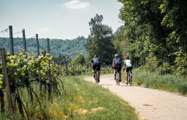 Graveln entlang von erstklassigen Weinreben | © Saddle Stories.at