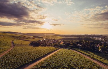 Weinlandschaft Zabergäu | HeilbronnerLand | © Touristikgemeinschaft HeilbronnerLand