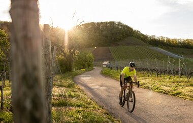 Naturparke-Gravel-Crossing  Tag 3 - Von Heilbronn nach Mühlacker | © Martin Donat_lifecyclemag.de