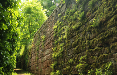 Neckargemünd - Rundgang durch die historische Altstadt | © Landratsamt Rhein-Neckar-Kreis