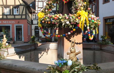 Neckargemünd - Rundgang durch die historische Altstadt | © Dorothea Burkhardt