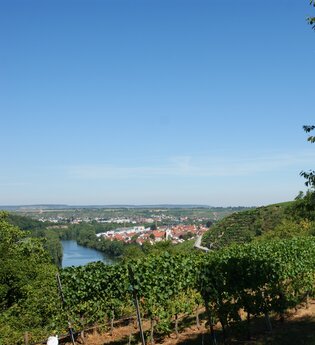 Neckarschleifen-Steillagenrunden: Gemmrigheimer Steillagenrunde | © Land der 1000 Hügel - Kraichgau-Stromberg