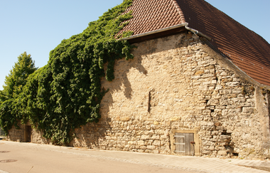 Neckarschleifen-Steillagenrunden: Gemmrigheimer Steillagenrunde | © Land der 1000 Hügel - Kraichgau-Stromberg