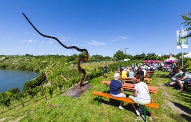 Neckarschleifen-Steillagenrunden: Kapellenbergrunde Kirchheim | © Land der 1000 Hügel - Kraichgau-Stromberg