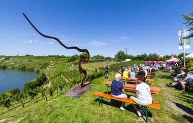 Neckarschleifen-Steillagenrunden: Kapellenbergrunde Kirchheim | © Land der 1000 Hügel - Kraichgau-Stromberg