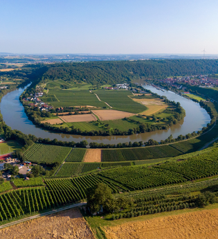 Neckarschleifen-Steillagenrunden: Käsbergrunde Mundelsheim | © Kraichgau-Stromberg Tourismus e.V.