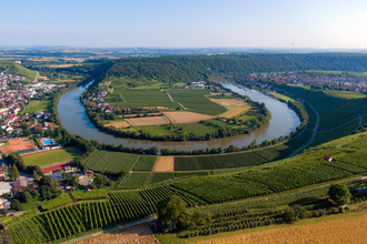 Neckarschleifen-Steillagenrunden: Käsbergrunde Mundelsheim | © Kraichgau-Stromberg Tourismus e.V.