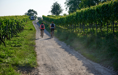 Fahrradweg durch die Weiberge | © Kraichgau-Stromberg Tourismus e.V.