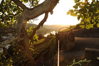 Sonnenuntergang Burg Hornberg / Neckarzimmern / Odenwald | © Touristikgemeinschaft Odenwald e.V.