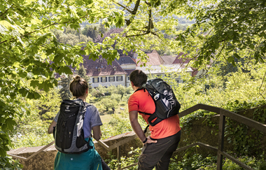 Blick auf Schloss Heinsheim bei Bad Rappenau / Odenwald | © Touristikgemeinschaft Odenwald e.V.