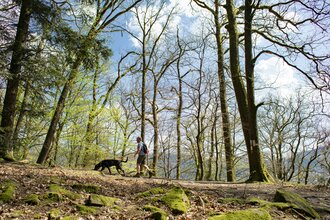 Wanderer mit Hund am Neckarsteig / Odenwald | © Touristikgemeinschaft Odenwald e.V.