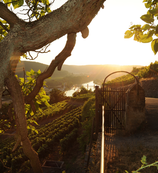 Sonnenuntergang Burg Hornberg / Neckarzimmern / Odenwald | © Touristikgemeinschaft Odenwald e.V.