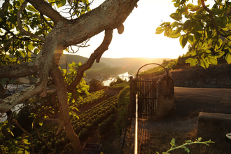 Sonnenuntergang Burg Hornberg / Neckarzimmern / Odenwald | © Touristikgemeinschaft Odenwald e.V.