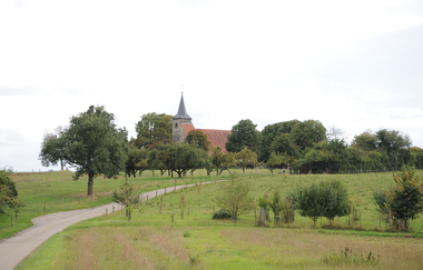 Michaelsberg bei Gundelsheim / Odenwald | © Touristikgemeinschaft Odenwald e.V.