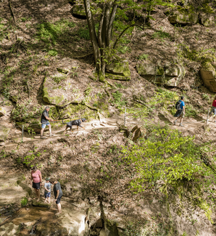 Margaretenschlucht - ein absolutes Highlight am Neckarsteig / Odenwald | © Touristikgemeinschaft Odenwald e.V.