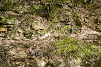Margaretenschlucht - ein absolutes Highlight am Neckarsteig / Odenwald | © Touristikgemeinschaft Odenwald e.V.