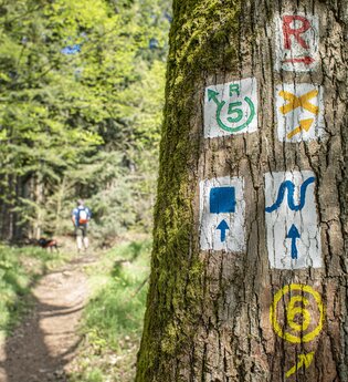 Wanderung auf dem Neckarsteig / Odenwald | © Touristikgemeinschaft Odenwald e.V.