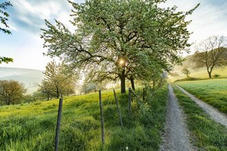 Sonnenaufgang bei Neckarkatzenbach / Odenwald | © Touristikgemeinschaft Odenwald e.V.