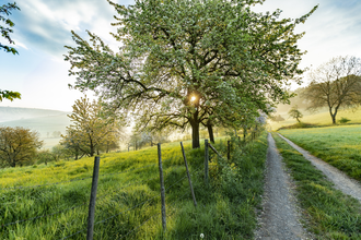 Sonnenaufgang bei Neckarkatzenbach / Odenwald | © Touristikgemeinschaft Odenwald e.V.