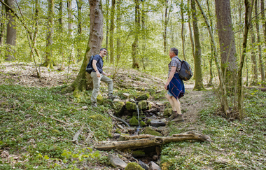 Trinkpause am Neckarsteig / Odenwald | © Touristikgemeinschaft Odenwald e.V.