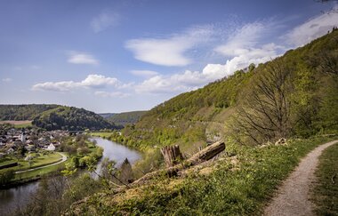 Necksteig bei Neckargerach / Odenwald | © Touristikgemeinschaft Odenwald e.V.