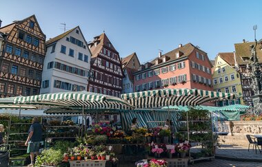 Neckartal-Radweg Markt Tübingen | © Geschäftsstelle Neckartal-Radweg_Maximilian Semsch