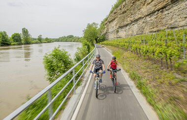 Neckartal-Radweg Lauffen am Neckar | © Heilbronner Land