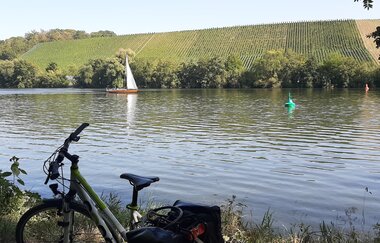 Neckartal-Radweg Etappe 6: Besigheim - Bad Wimpfen