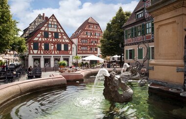 Neckartal-Radweg Ladenburg Marktplatz | © LRA RNK